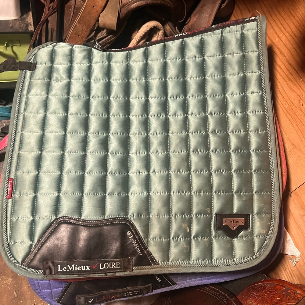 Saddle pad